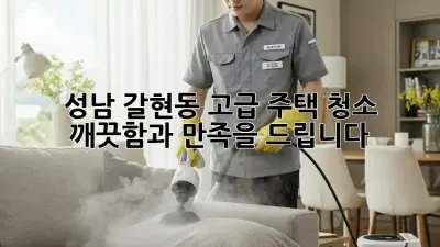 성남 갈현동 고급 주택 청소: 깨끗함과 만족을 드립니다